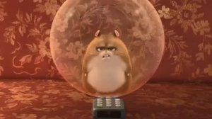 Мы хомяки и мы хомячим