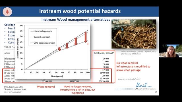 Healthy rivers: the role of instream wood and self-restoration processes - Virginia Ruiz-Villanueva смотреть онлайн
