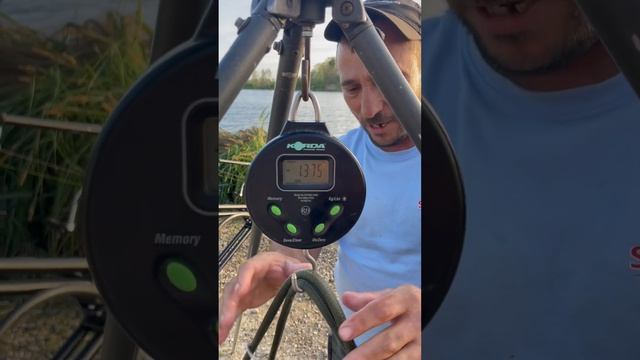 Record la caras(F1) intr un concurs pe Hermes Peris…9,1 kg смотреть онлайн