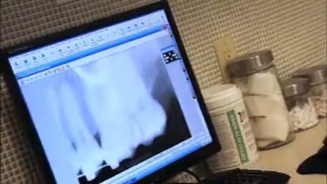 Heritage Dental Care, Dr. Daisy Park in Milton, ON - Goldbook.ca смотреть онлайн