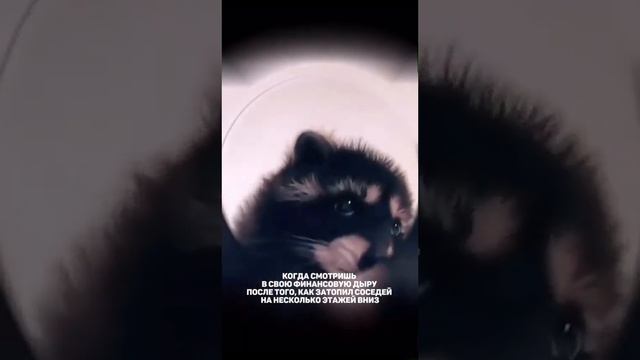 Затопили соседей смотреть онлайн