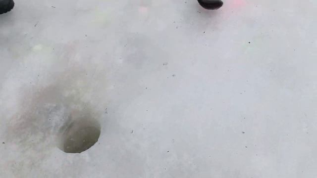 Паста сыр 🧀 смотреть онлайн