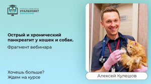 Фрагмент вебинара «Острый и хронический панкреатит у кошек и собак», лектор Алексей Кулешов