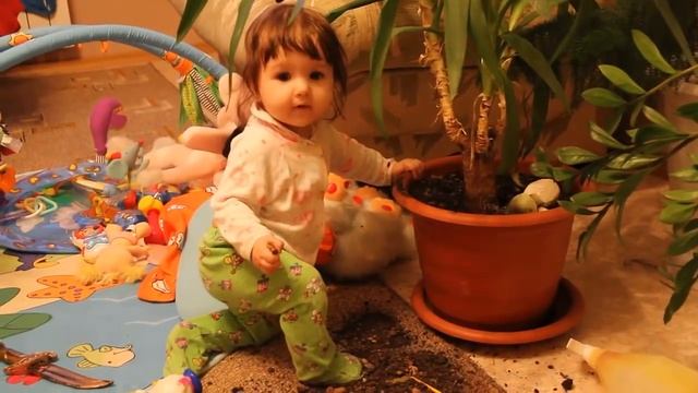 Алиса выкапывает пальму из горшка. Детские шалости Алисы. Смешные дети. В гостях у Алисы и Егора смотреть онлайн