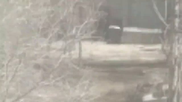 лаагли у него палочник и белое существо смотреть онлайн