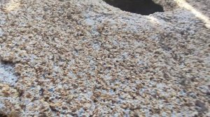 Мельничные жернова. Городец. Город мастеров.