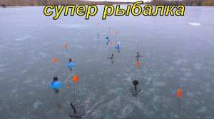 Расставил жерлицы и рыба попёрла! рыбалка в январе