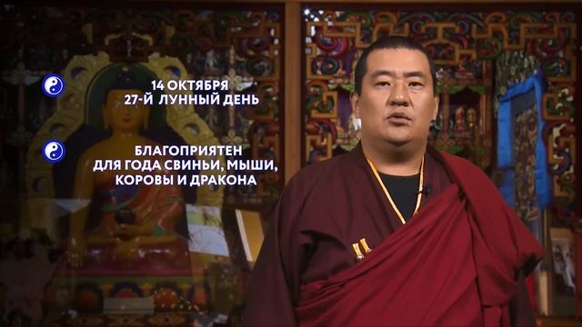 ЗУРХАЙ на 14.10.2020 смотреть онлайн