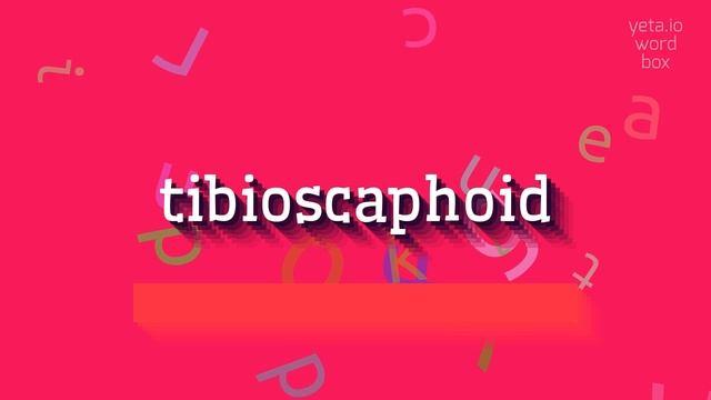 HOW TO SAY TIBIOSCAPHOID? смотреть онлайн