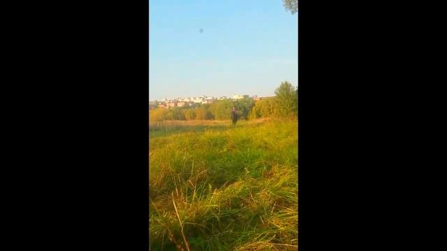 Поле (ириска) смотреть онлайн