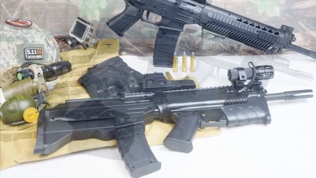 SIG Bullpup Custom.