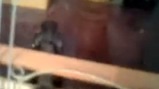 Деревянный корабль смотреть онлайн