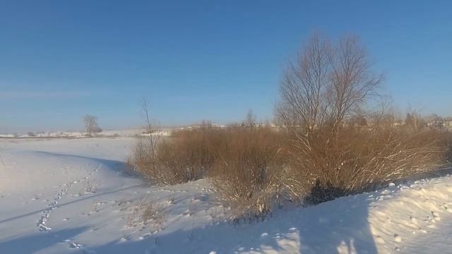 ДЕРЕВЕНСКИЙ ЗАЯЦ!!! ОХОТА НА ЗАЙЦА 2024! смотреть онлайн