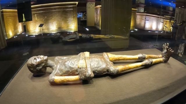 Экскурсия по городу | Шарм эль Шейх | Египет ч. 2 смотреть онлайн