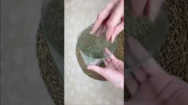 Домашняя колбаса смотреть онлайн