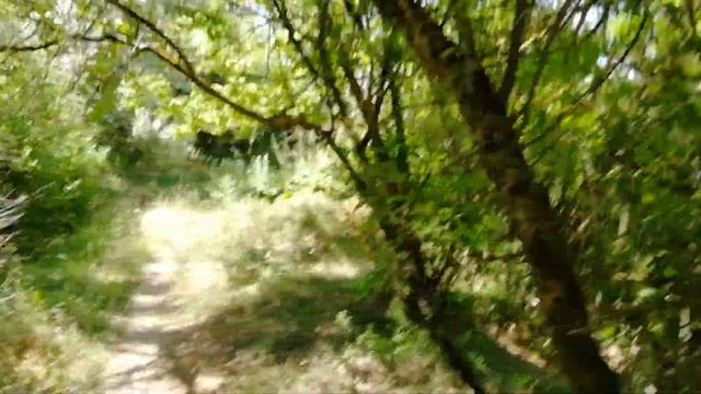 Поиски " Хищника" в Батайских джунглях!!! смотреть онлайн