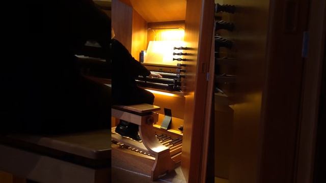 organ improvisation by Richardas Pintveris ( Saint-Petersburg) смотреть онлайн