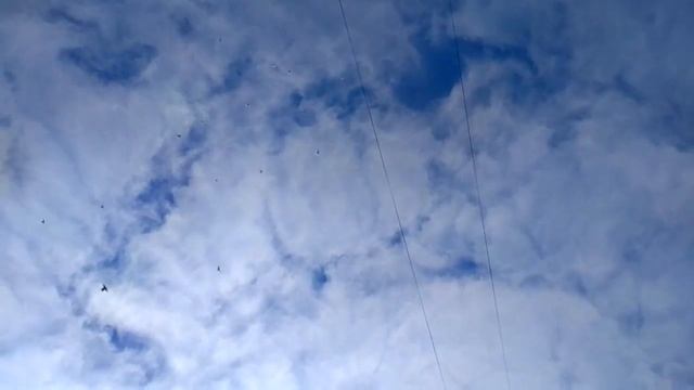 23 октября 2017 г. смотреть онлайн