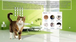 В Чем Секрет Энергии Кота Бориса?