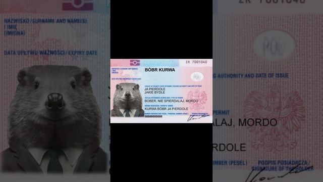 Bobr Kurwa
