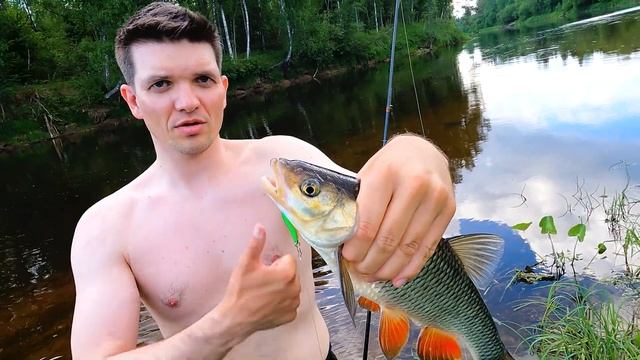 Первое голавлевое путешествие 2022