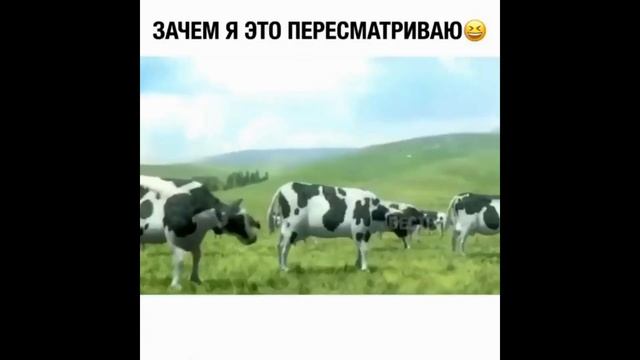 ЛУЧШИЕ ПРИКОЛЫ 2020 до слез угар ТЕСТ НА ПСИХИКУ 2020 ржака прюколюха 10 МИНУТ смеха смотреть онлайн