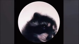 Педро педро педро педро пе