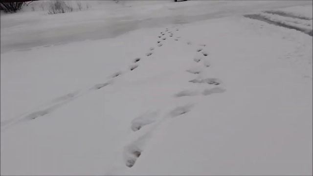 24.12.2016 г. Тольятти часть 4 смотреть онлайн