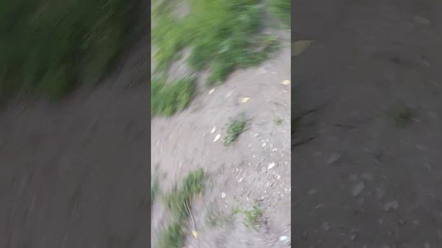 Мартин и ворона. смотреть онлайн