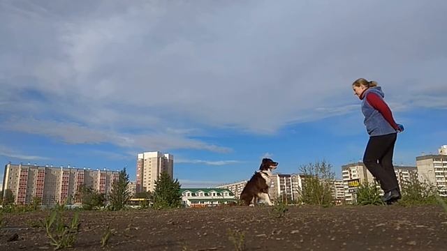 тренировка кусок июнь 2020 смотреть онлайн
