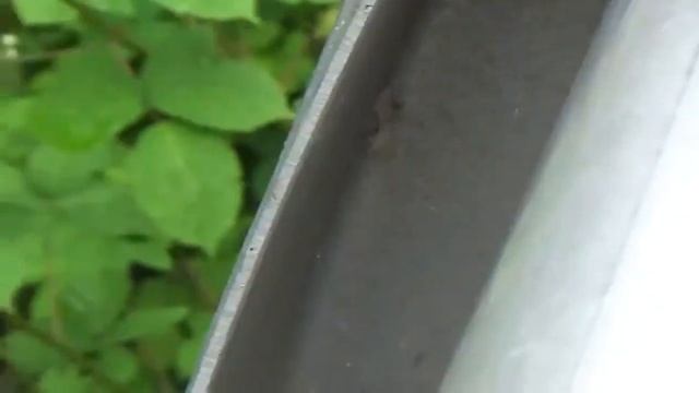 Snakefly Not Doing Much смотреть онлайн
