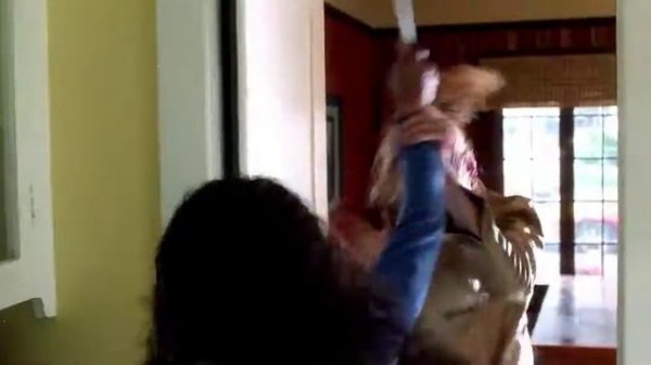 Kill Bill Vol. I (2003) - The Bride / Black Mamba vs Vernita Green/Copperhead