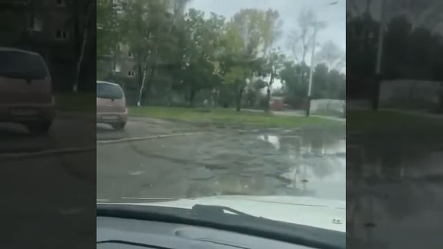 Медведь в Хабаровске смотреть онлайн