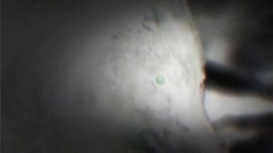 Der Menschling (махновцы edit)