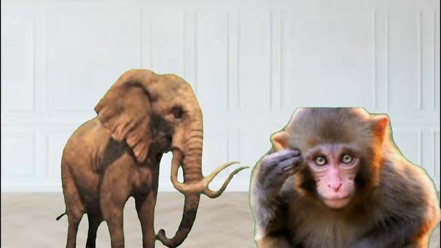 Monkey Ringtone || Cute SMS tone || notification ringtone || love message ringtone || SMS Ringtone смотреть онлайн