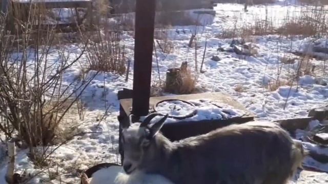 Обо всём и не о чём, декабрь 2020. смотреть онлайн