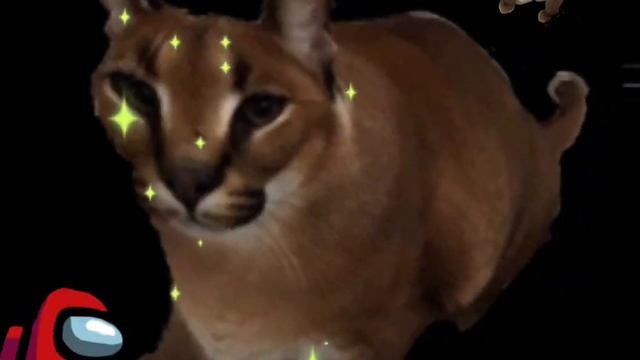 ШЛЁПА ЖОСТКИ #шлёпа #мем #прикол #кринж #амогус #амонг ас смотреть онлайн