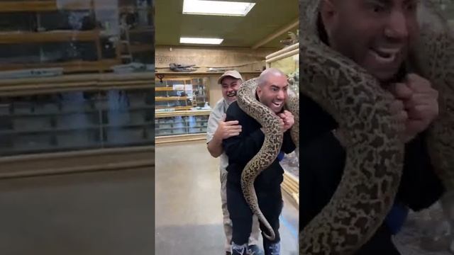 #prank#snake#funny#short смотреть онлайн