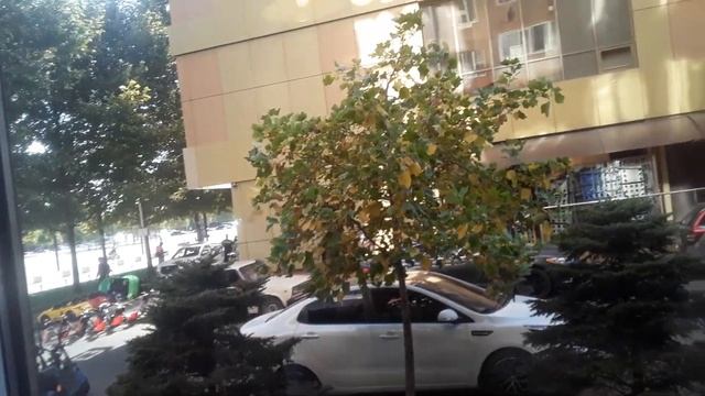 В Краснодаре в корейском кафе🍜Пробуем Том Ям, ТОКПОКИ и КИМЧИ/ Индийские ТРУЩОБЫ Юбилейного смотреть онлайн