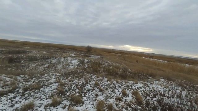 Охота на зайца 2020. 100% попадание. смотреть онлайн