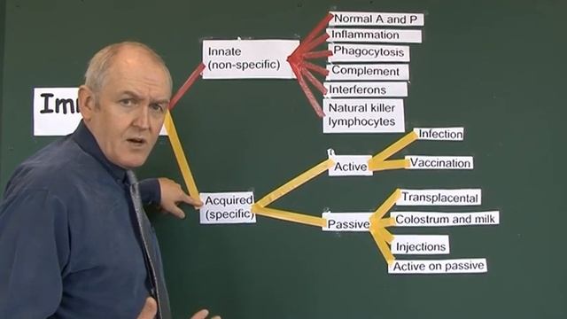 Immunity 2, Introduction and Classification, Take 2 смотреть онлайн