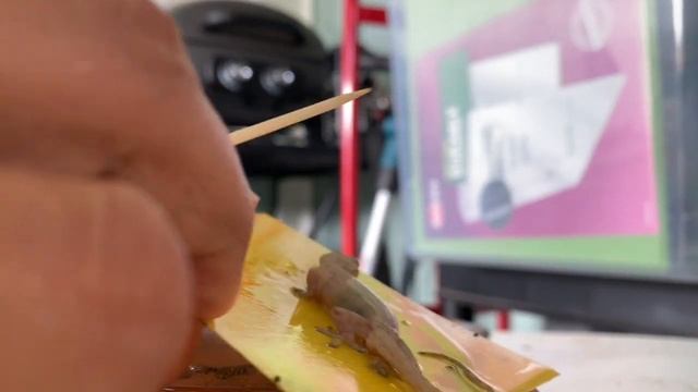 Tutorial: How to remove a gecko from a sticky trap смотреть онлайн