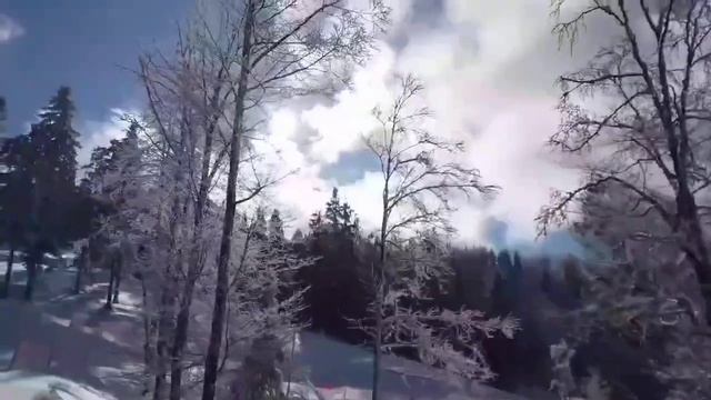 НУ ЭТО УЖЕ ПЕРЕБОР! VREDINA LIFE. ОБЗОР.