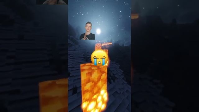 Кого ты из нас выберешь? 梁❤️ #cats #шортс #shorts #майнкрафт #майн смотреть онлайн