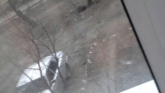 Кошка смотрит в окошко. смотреть онлайн