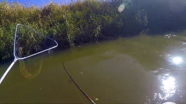 Лодочные приключения: противостояние ветру