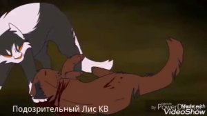 Клип котов воителей коматоз