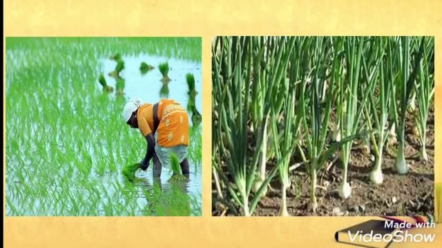 इ.१२ वी मराठी कविता क्र.२ - रोज  मातीत ( भावार्थ )|सोपे स्पष्टीकरण|12th Marathi Lesson 2- Roj Matit