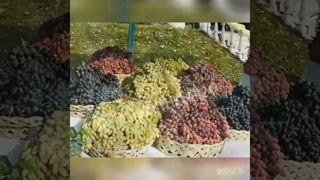 узбек миллий таомлари смотреть онлайн