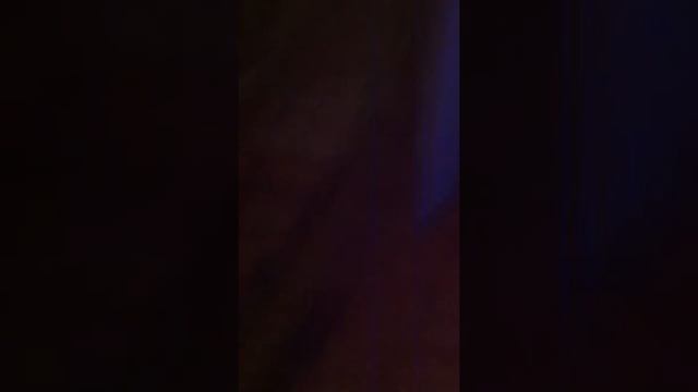 Коты лежат😺 смотреть онлайн